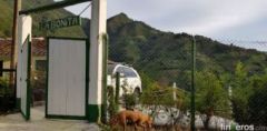 La bonita - Finca in Medellín, Antioquia
